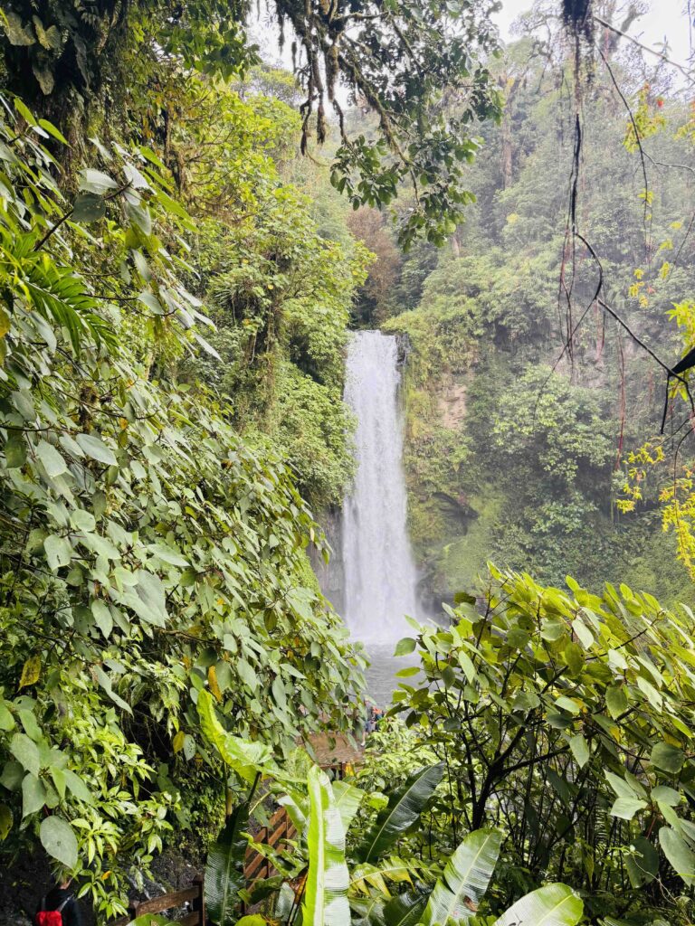 Front view of La Paz waterfall in the rainforest on road trip in Costa Rica